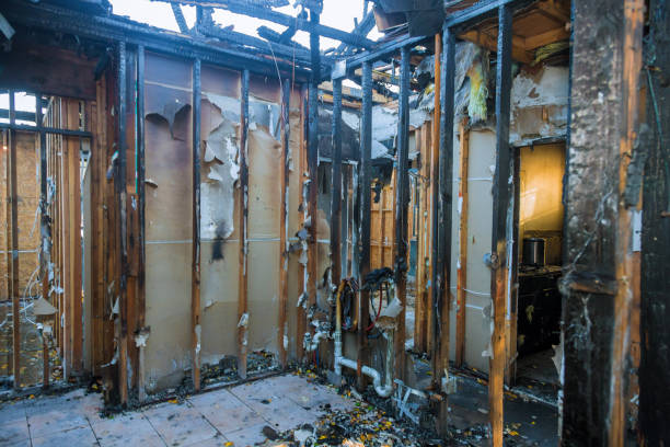 Professional Fire Damage Repair technician working in Blountsville, AL